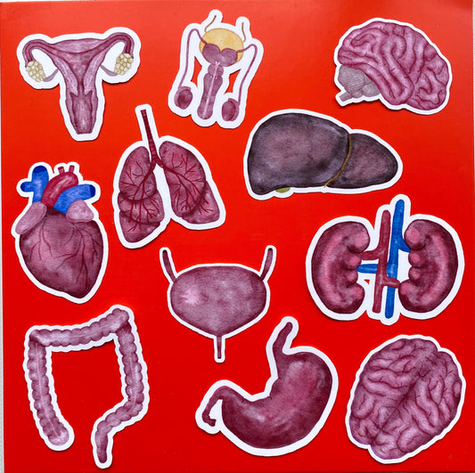 Human Anatomy Sticker Pack